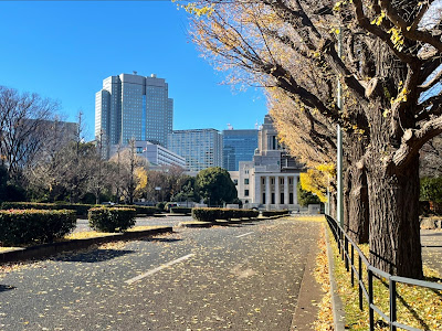 議事堂前銀杏並木 사진 5
