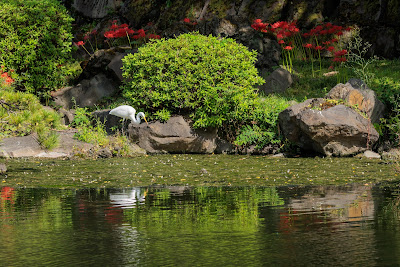 Shinji-ike Pond 사진 5