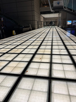 Light carpet 사진 2