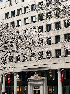 Sakura Dori 사진 3