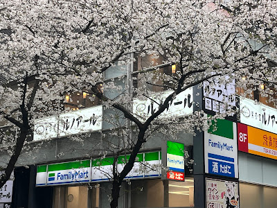 Sakura Dori 사진 4