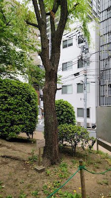 Ginza Nisei 사진 3