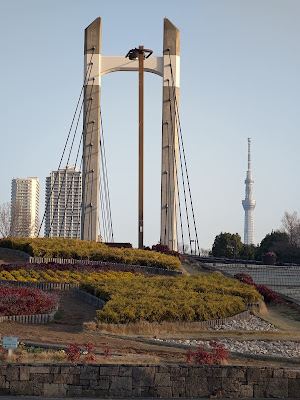Oyokogawa Promenade Kawazu Sakura 사진 5