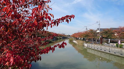 Koedo Bridge 사진 4