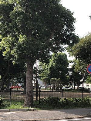 Manse Park 사진 4