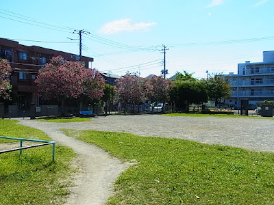 Otehama Park 사진 3