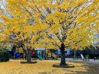 Mure Hibarino Children's Park 사진 4