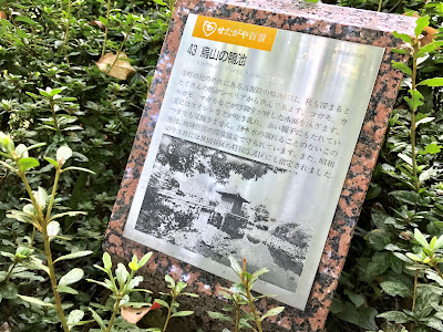 Karasuyama Kamoike Pond 사진 4