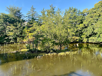 Karasuyama Kamoike Pond 사진 3