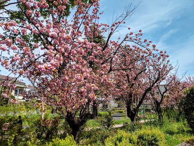 Akanebashi Park 사진 4