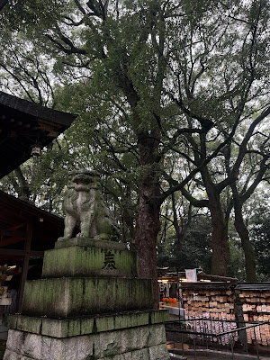 男銀杏(大宮八幡宮) 사진 4