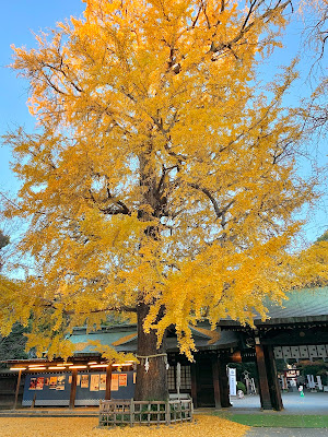 女銀杏（大宮八幡宮） 사진 4