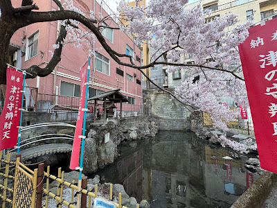 Muchi Pond 사진 4