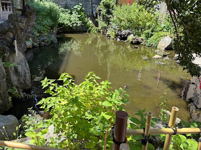 Muchi Pond 사진 5