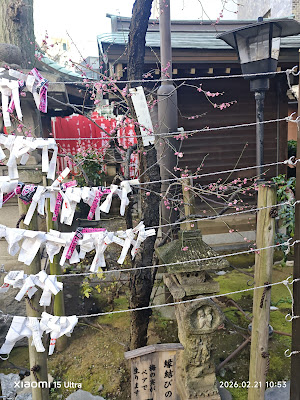 縁結びの梅 사진 3