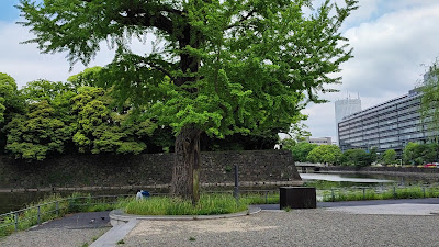 大手濠緑地 사진 2