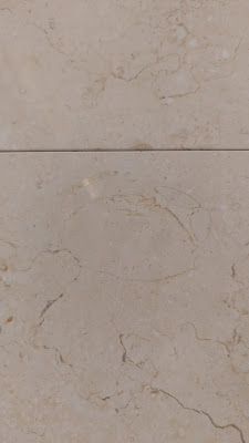 Crab Fossil at Tokyo Station 사진 3