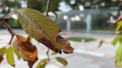구체 분수(영원) 사진 2