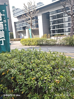 甘酒横丁 사진 2