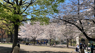 Hakozaki Park 사진 3