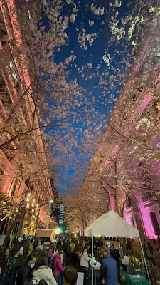 江戸桜通り 사진 3