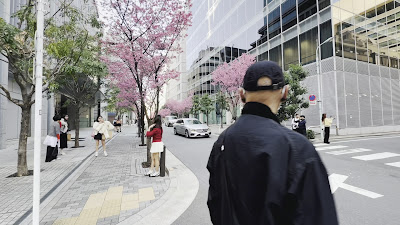 オカメザクラ通り（あじさい通り） 사진 2