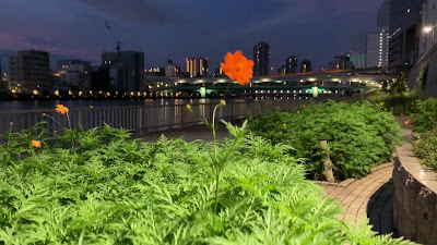 스미다 강 테라스 사진 2