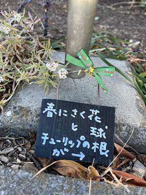 北砂花友ガーデン（江東区コミュニティガーデン） 사진 3