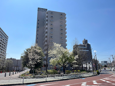 北砂花友ガーデン（江東区コミュニティガーデン） 사진 4