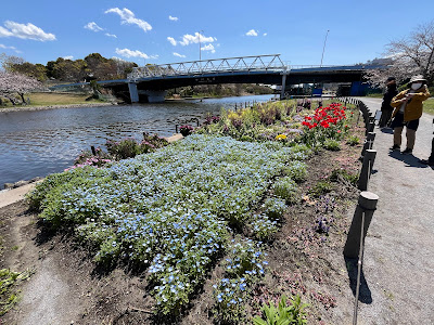 旧中川花畑クラブ（江東区コミュニティガーデン） 사진 2