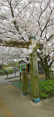 旧中川花畑クラブ（江東区コミュニティガーデン） 사진 5