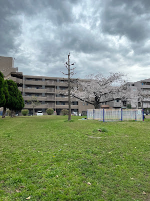 Oshikiri Park 사진 4