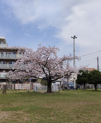 Oshikiri Park 사진 5