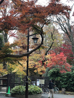 井の頭公園アートマーケッツ水生物園入り口会場 사진 4