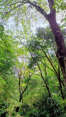 Kotori-no-mori Bird Sanctuary 사진 3