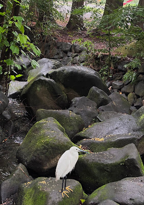 神田川源流の地看板 사진 2