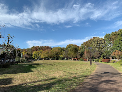Sankaku Park 사진 4