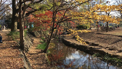Sankaku Park 사진 2