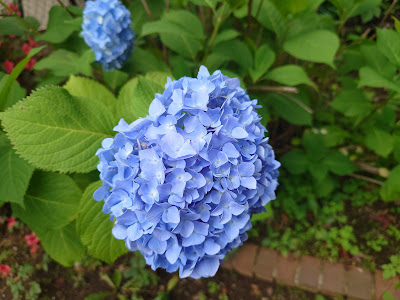 Matsumiya Park 사진 4