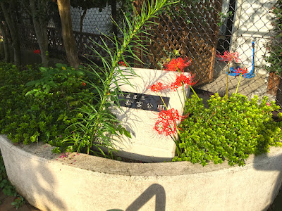 Matsumiya Park 사진 3