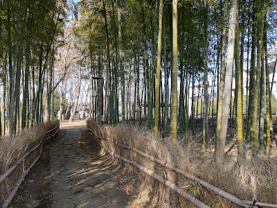 Chikurin 사진 4