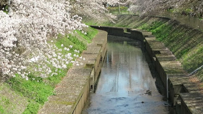 Zenpuku-ji River Green Space 사진 2