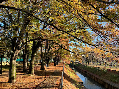 Zenpuku-ji River Green Space 사진 5