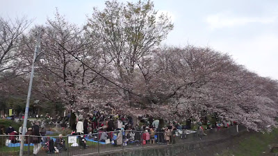 Zenpukuji River Green Park 사진 2