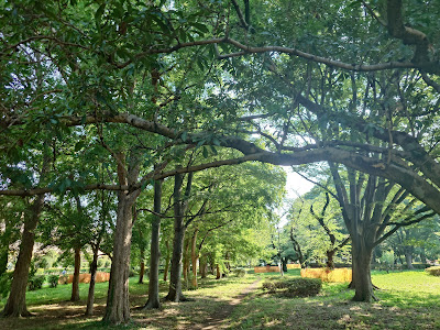 Zenpukuji River Green Park 사진 4