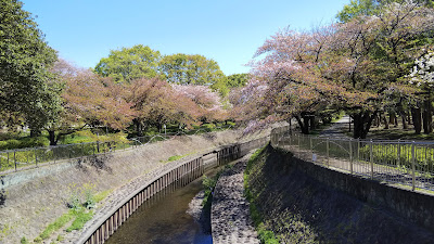 Zenpukuji River Green Space Central Plaza 사진 3