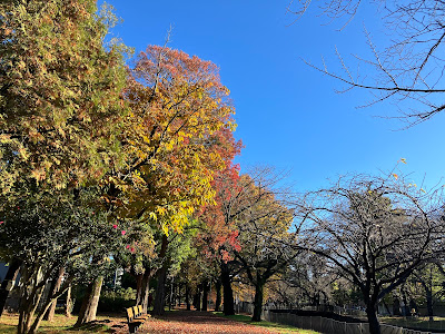 Zenpukuji River Green Space Central Plaza 사진 4