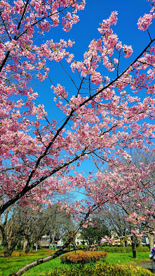 Zenpukuji River Green Space Central Plaza 사진 5