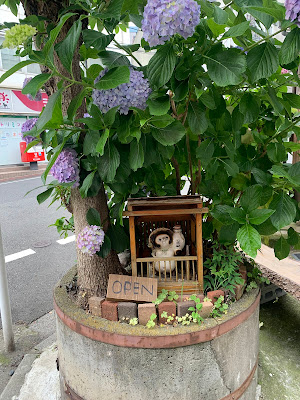 Yanagitanuki 사진 3