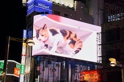 Chopsticks Studio Shinjuku 사진 5